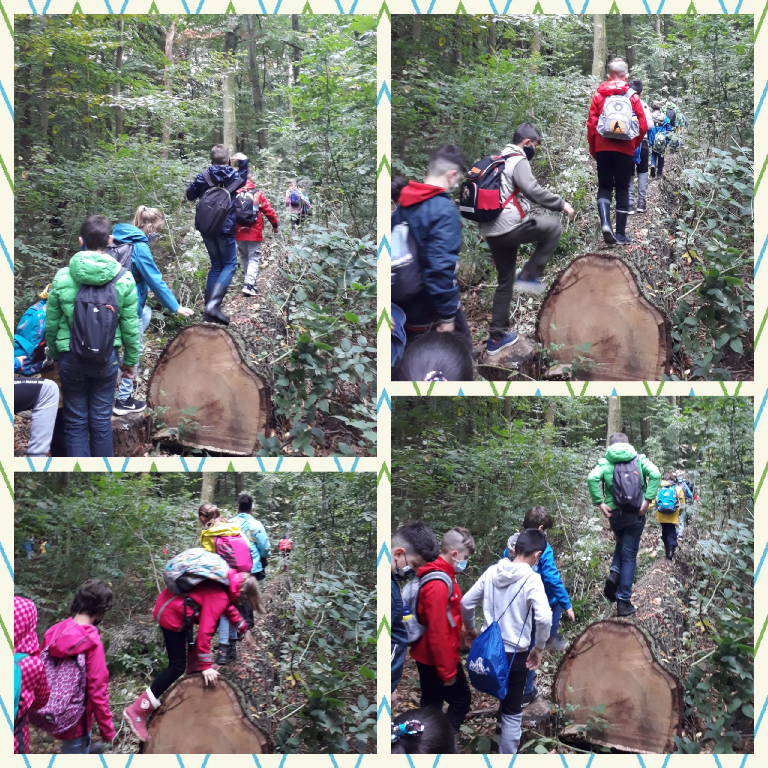 Unser Ausflug in den Wald