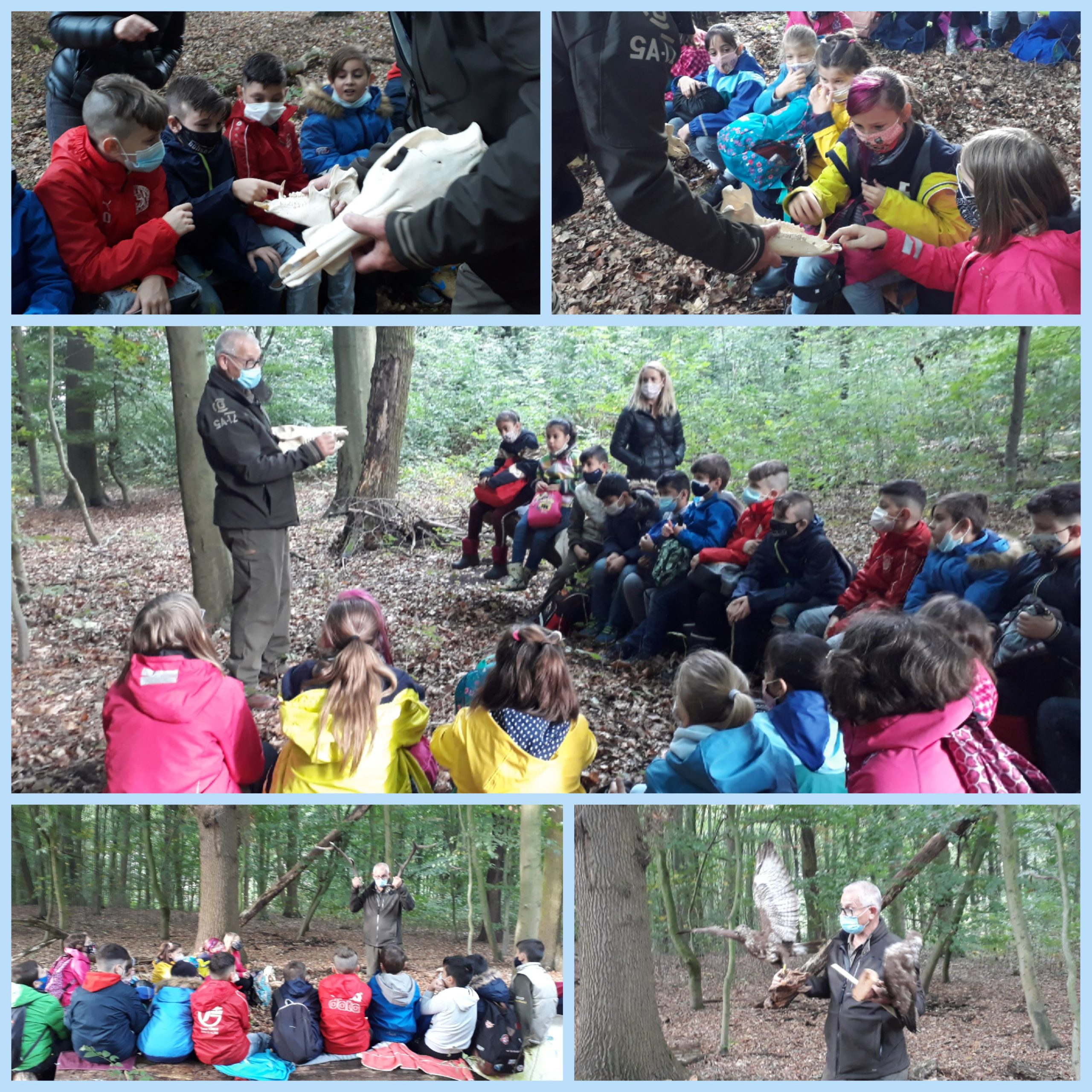 Unser Ausflug in den Wald