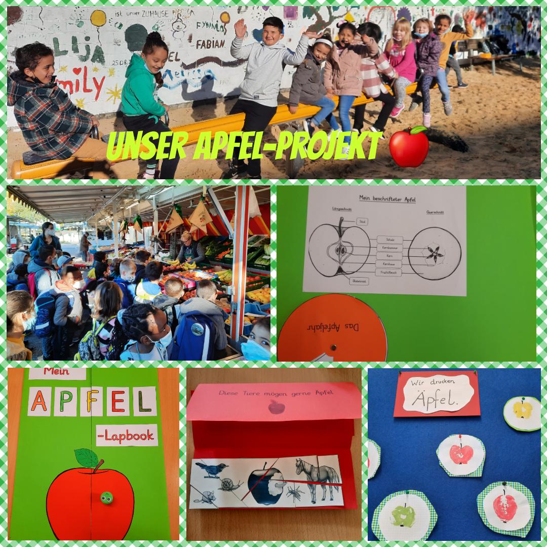 Unser Apfelprojekt
